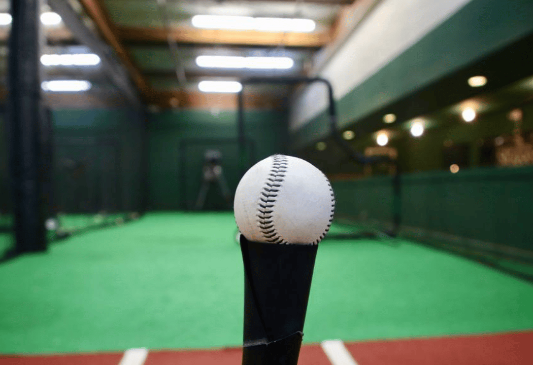 Pacifica Cages 1