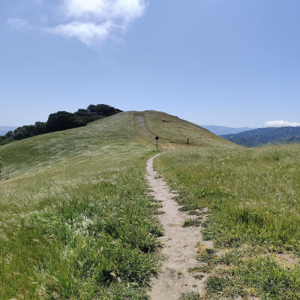 Martin Canyon Creek Trailhead 1