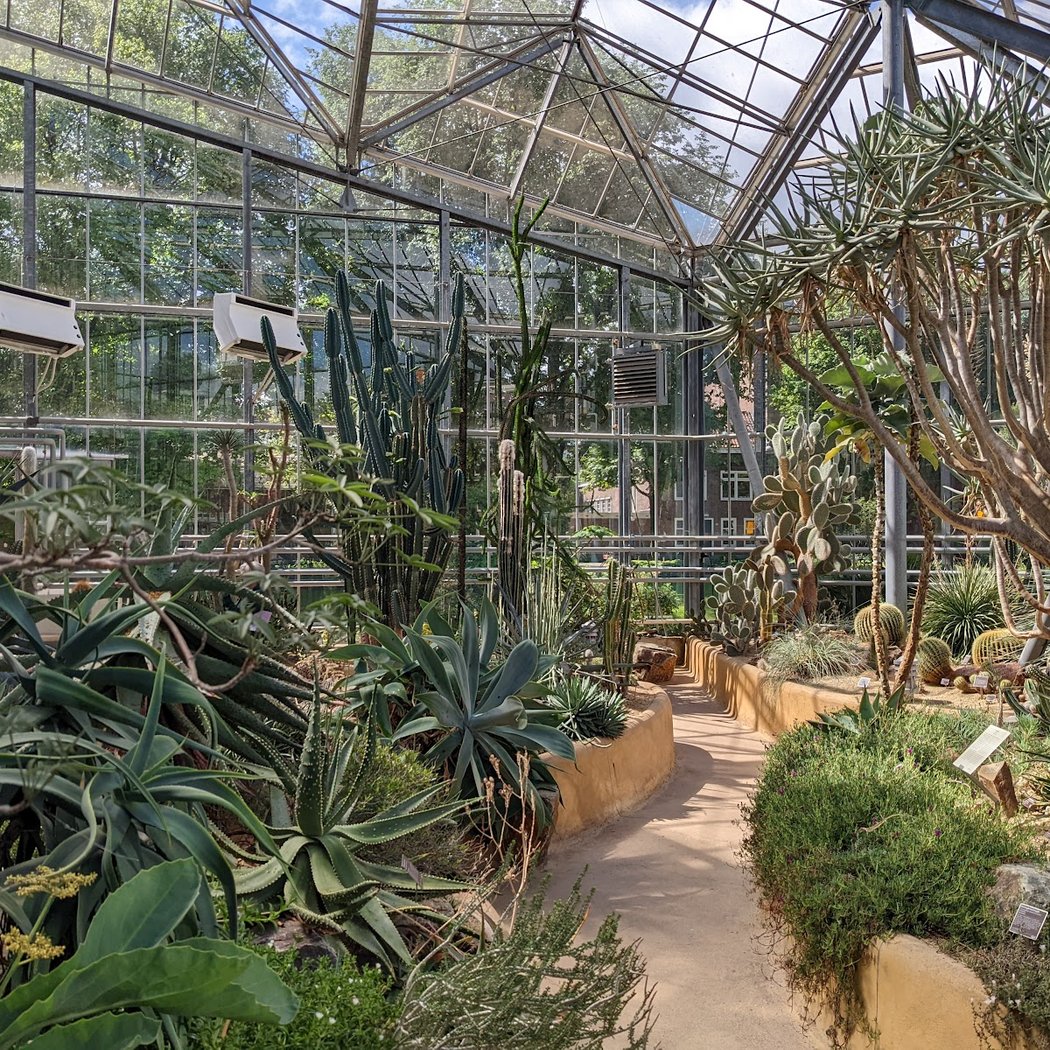 Hortus Botanicus 2