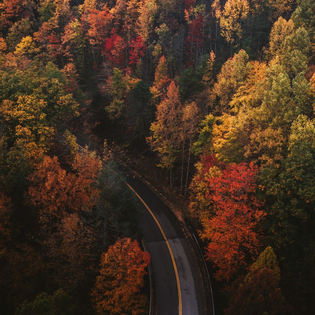 Fall Retreat to Vermont: Strength, Ease & Pause 1