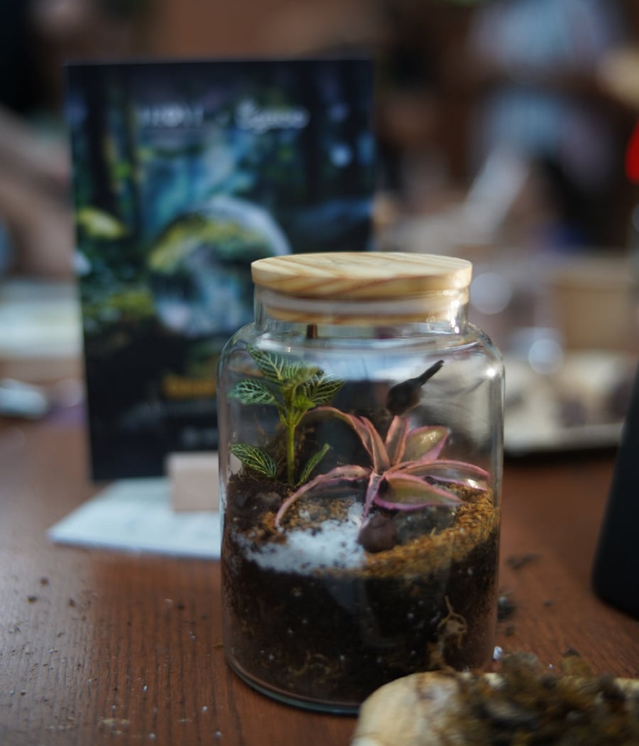 Glass Gardens - A Terrarium Making Experience 1