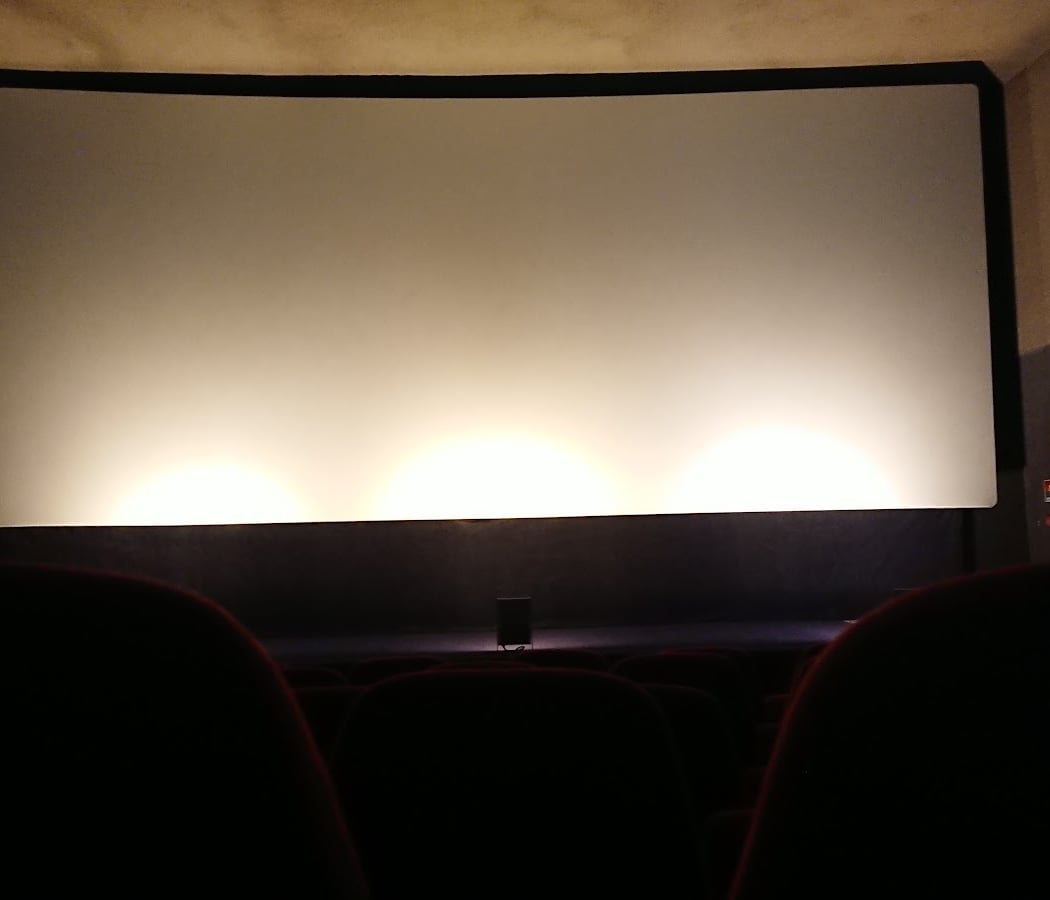 Cinéma Le Rex 3