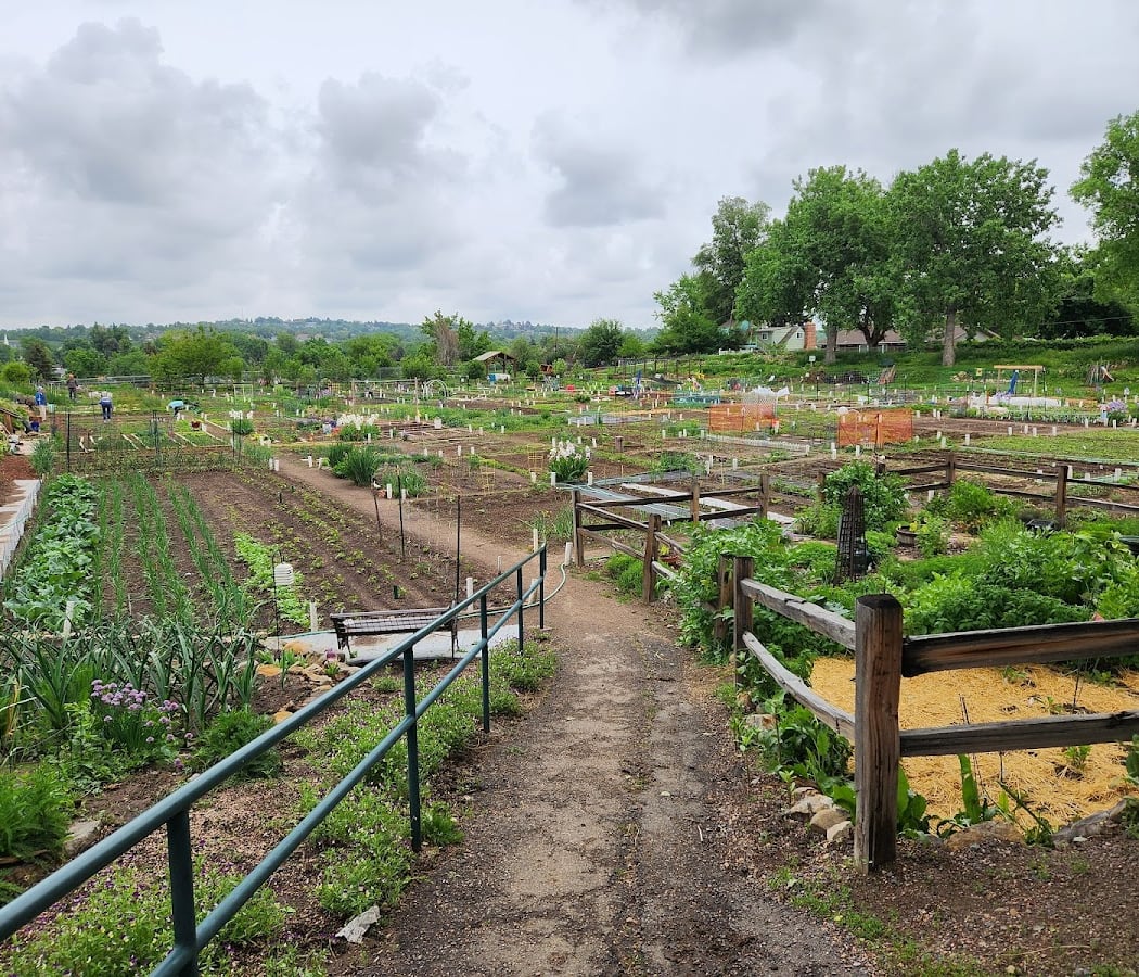 Arvada Community Garden 2