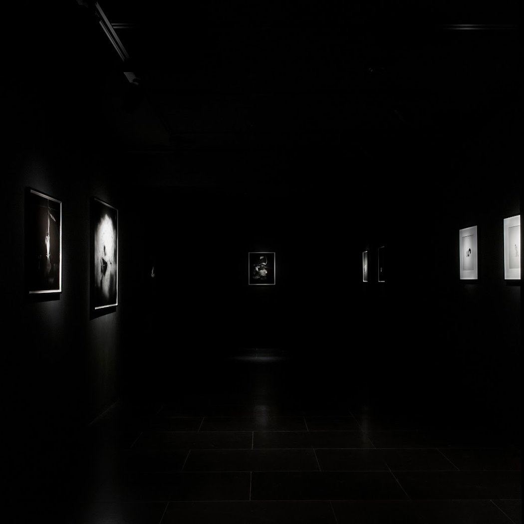Empty Gallery 2