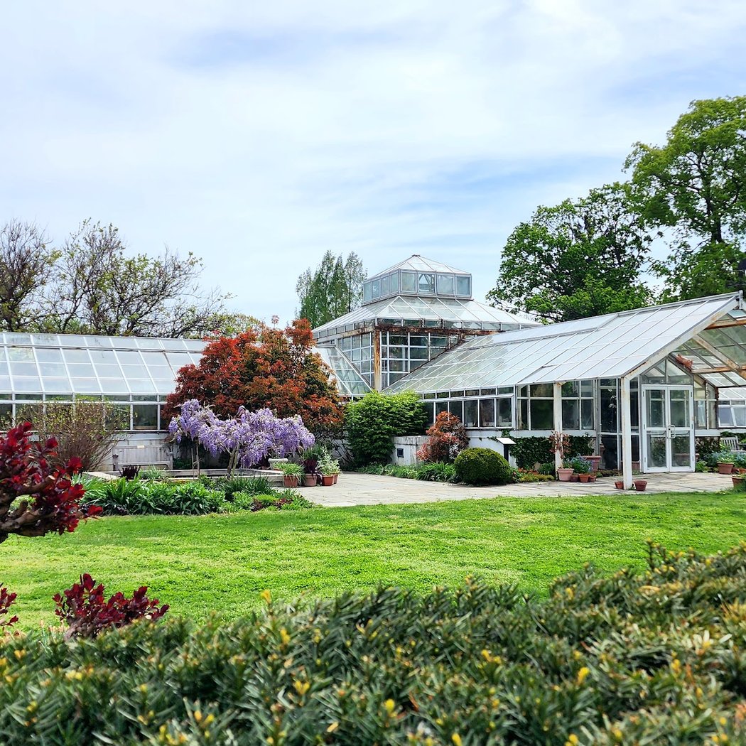 Perennial Garden 2