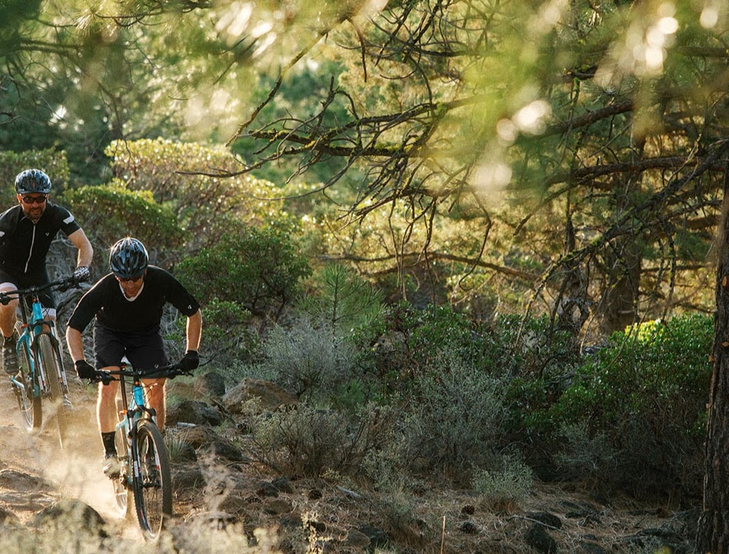 Summit Bicycles 1