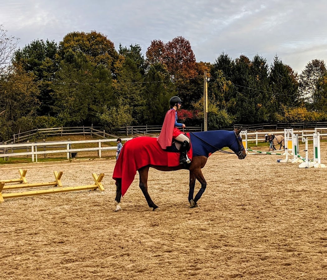 Gold Coast Equestrian 3