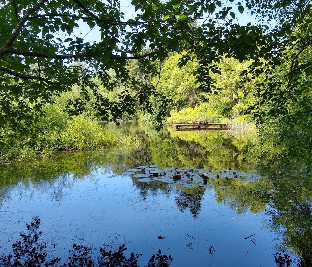 West Hylebos Wetlands Park 1