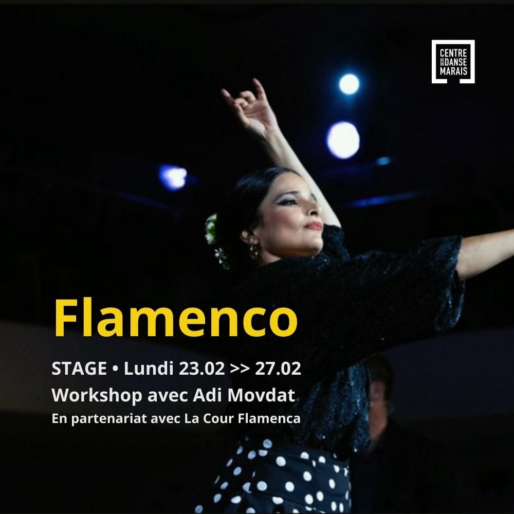 STAGE FLAMENCO ADULTES ADI MOVDAT 1
