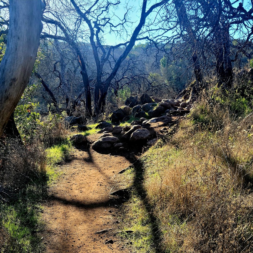 Annadel Half Marathon, 10K & 5K 3
