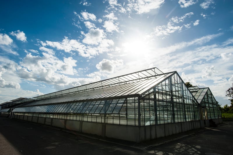Centre Horticole de la Ville de Paris 3