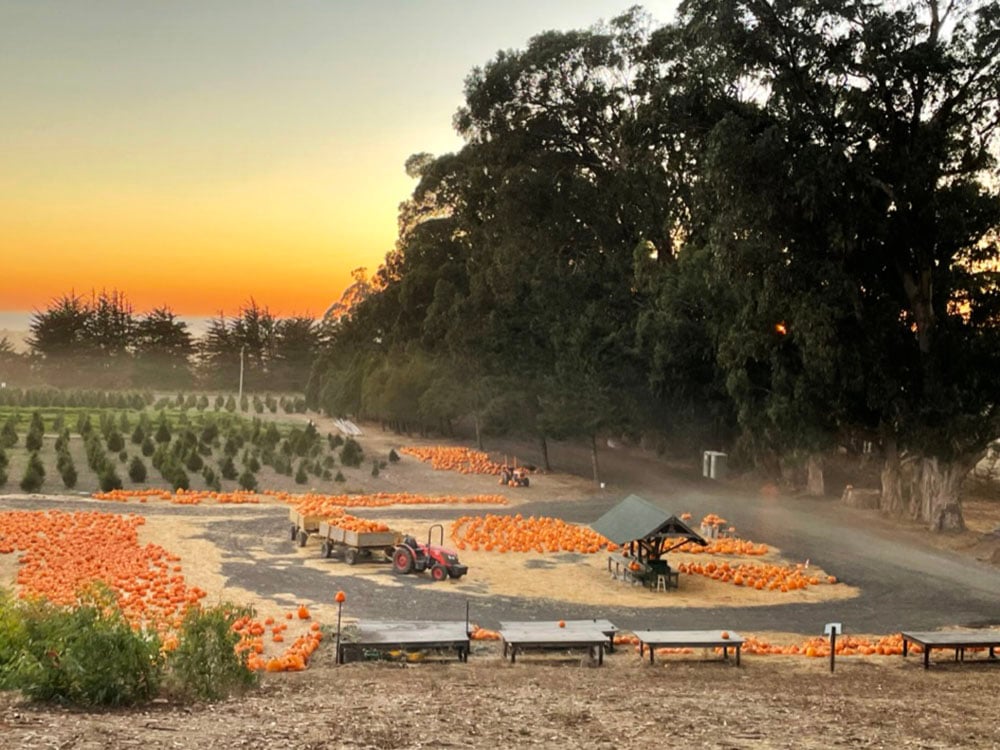 Rancho Siempre Verde 3