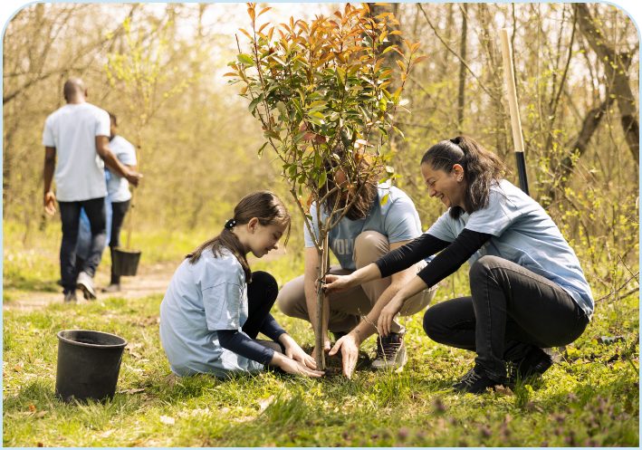 Forest Restoration at Legacy Park 1