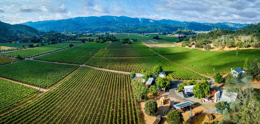 Kenefick Ranch Vineyard & Winery 2