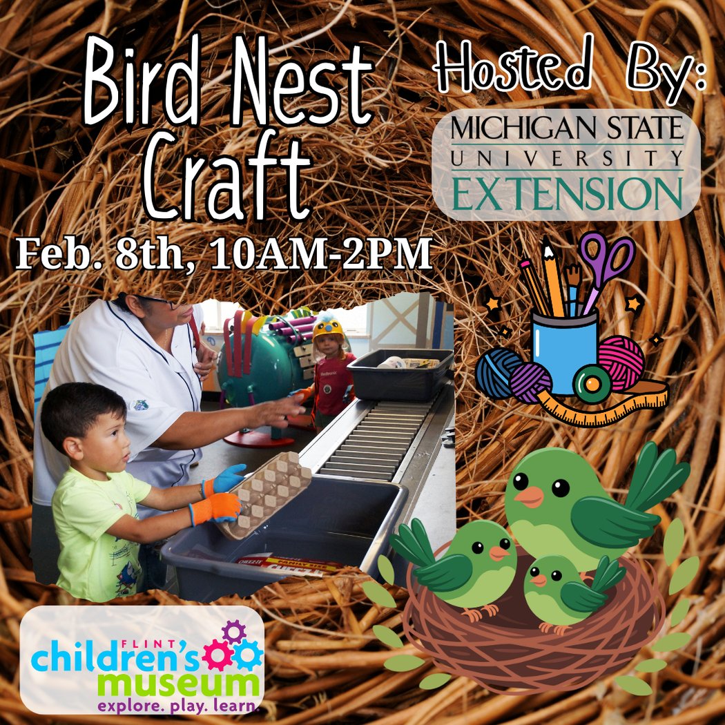 MSU Birds in a Nest Craft 1