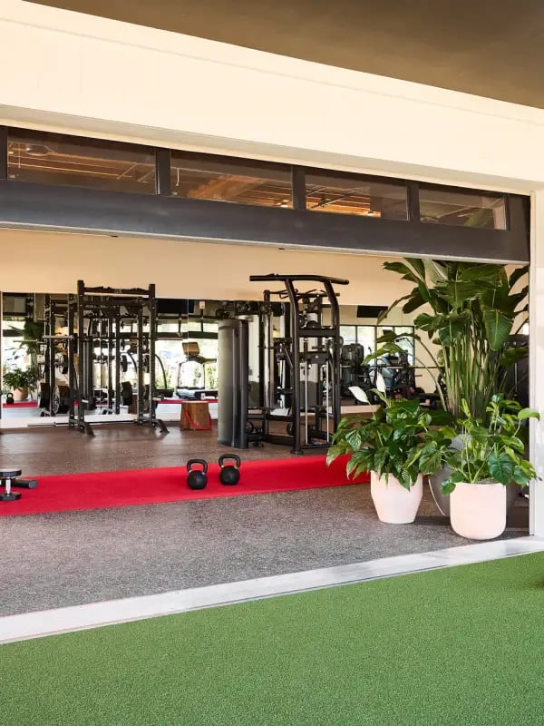 Branch Out Bootcamp 1