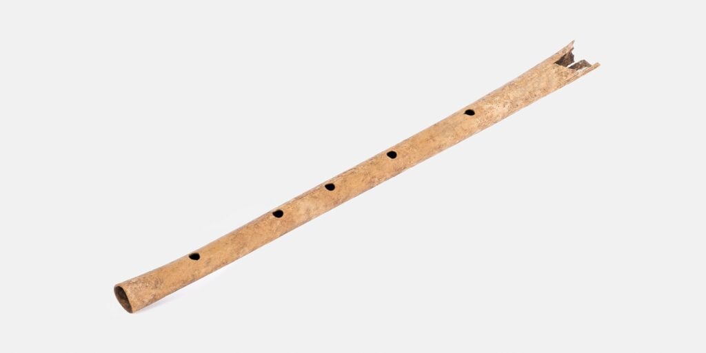 The Magical Flute: Beauty, Enchantment, and Power 2