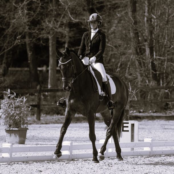 Compétition de dressage 1