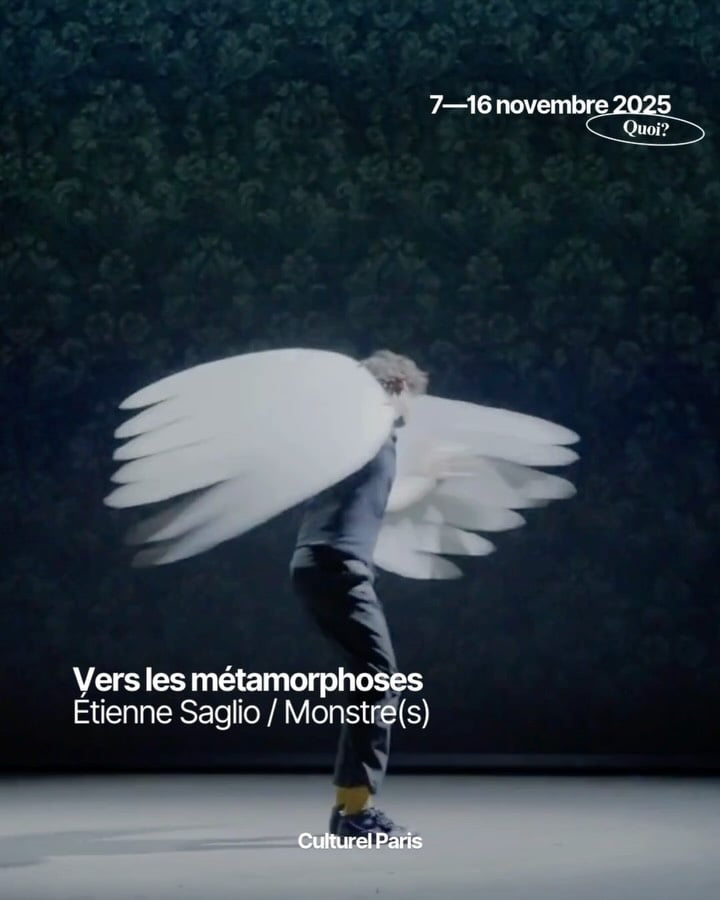 Vers les métamorphoses 1