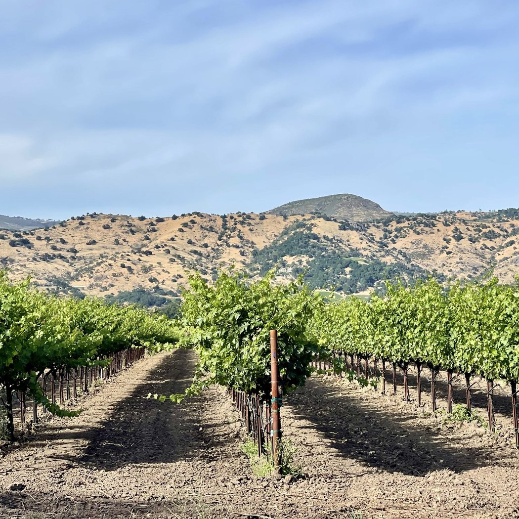 Goosecross Cellars 3