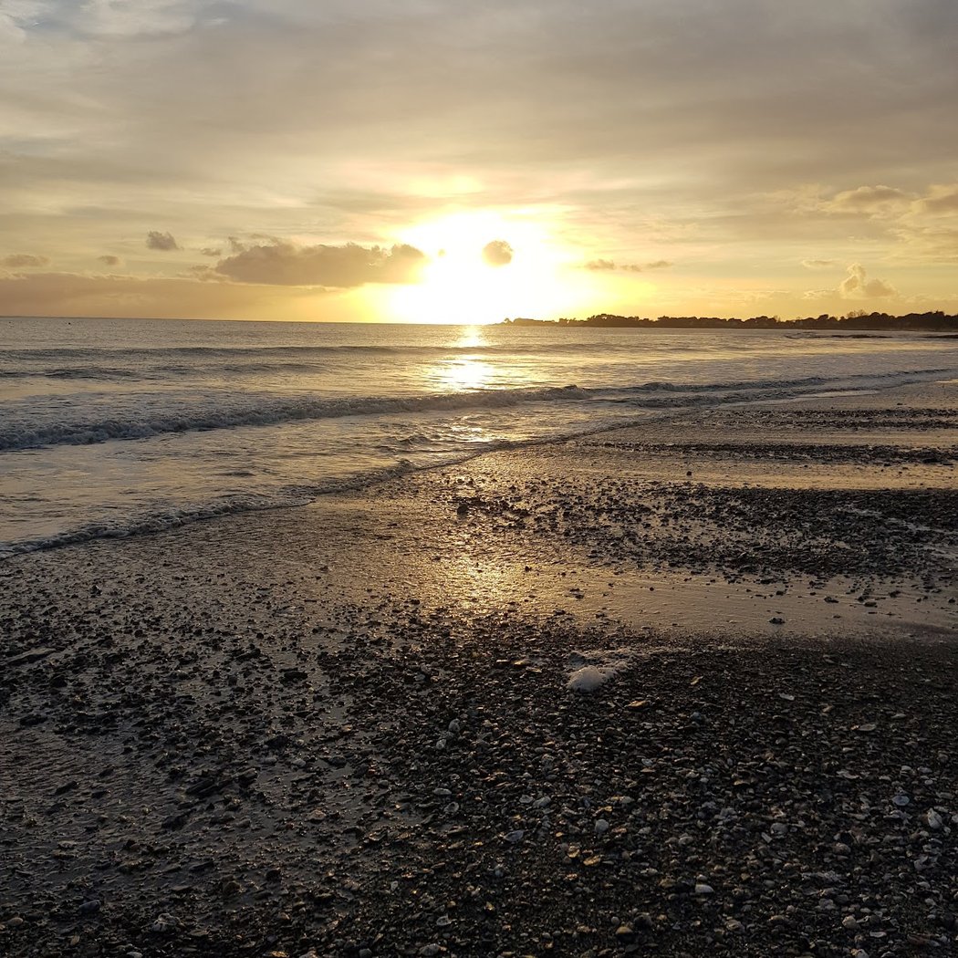 Beach Of Roaliguen 4