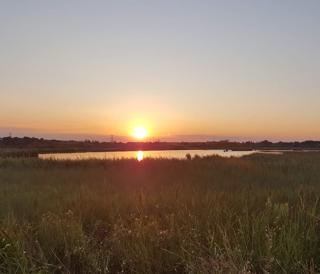 Éco-balade « Découverte des Salins de Rassuen » 3