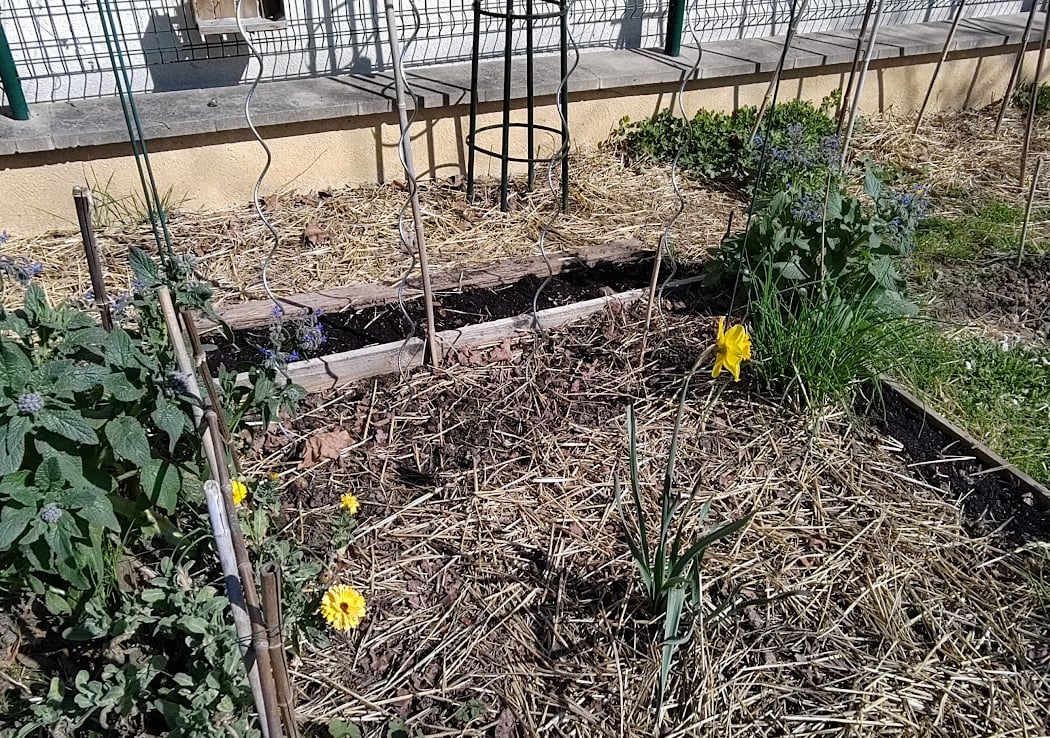 partagé Hoffmann Garden 2