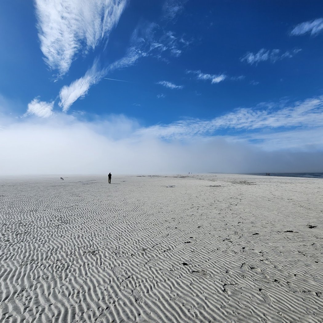 Wingaersheek Beach 1