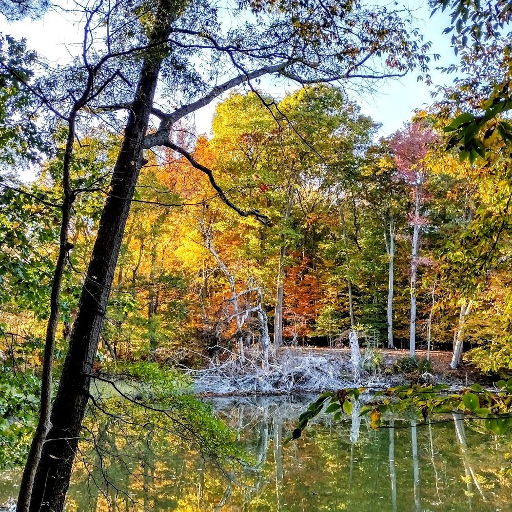 Pickering Creek Audubon Center 2