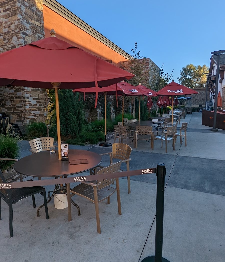 Lazy Dog Restaurant & Bar 2