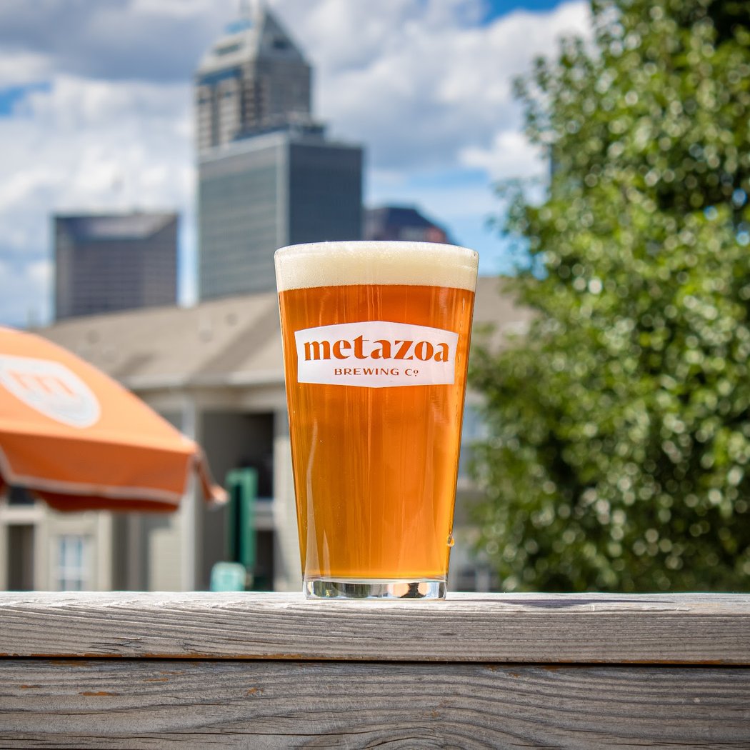 Metazoa Brewing Company 3