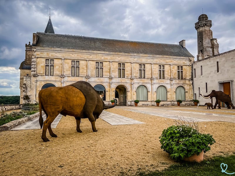 Grand-Pressigny Castle 1