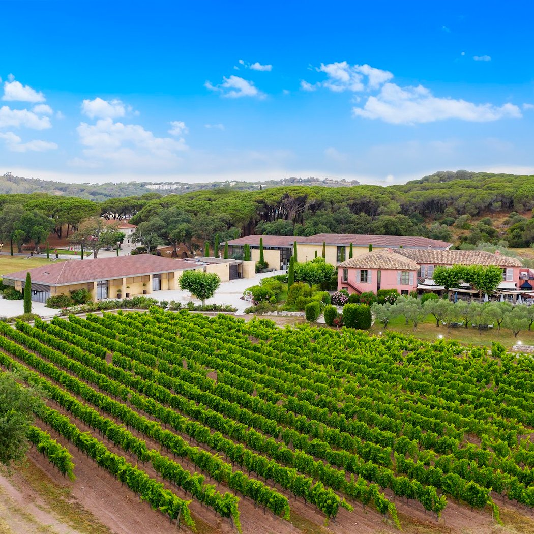 Clos des Roses vineyard 3
