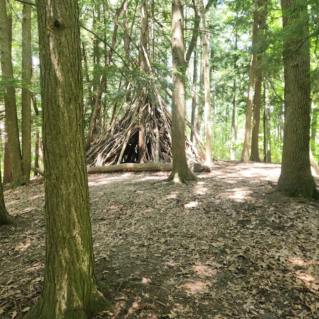 Bird Hills Nature Area 3