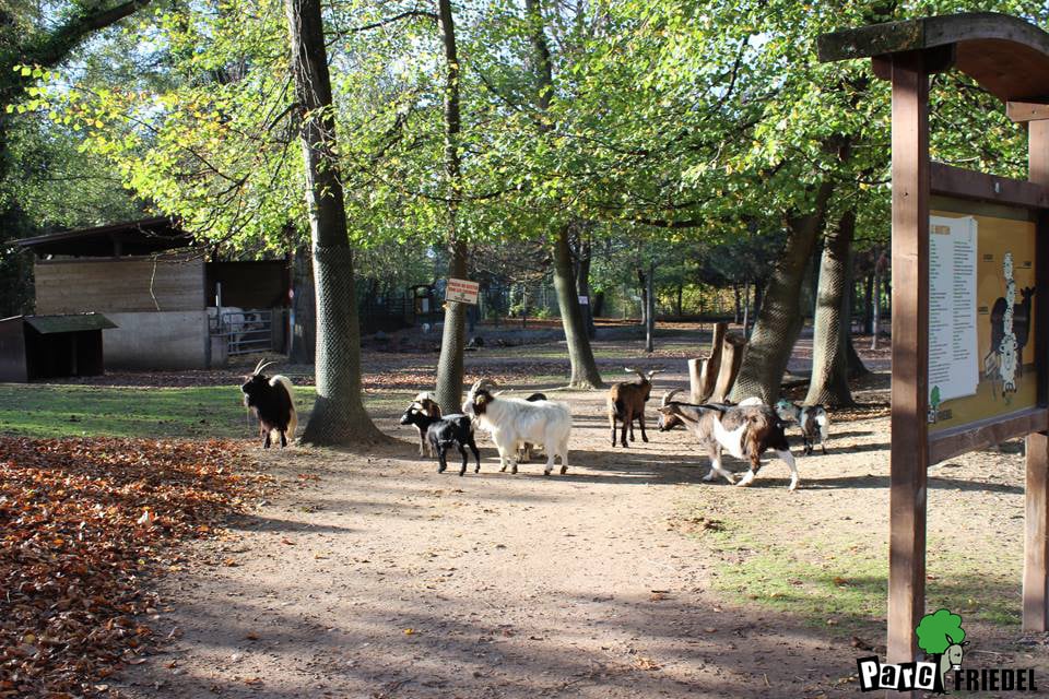 Chasse aux œufs de Pâques 2