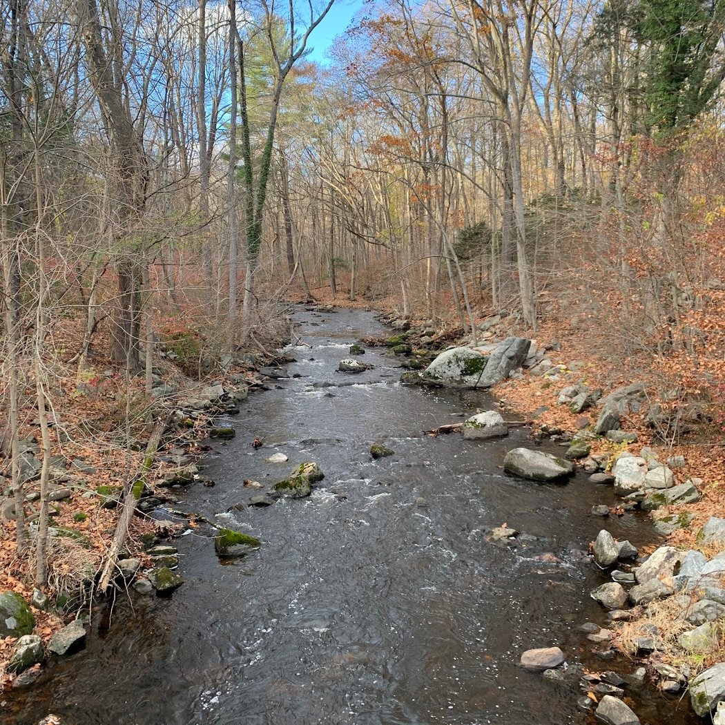 Mianus River Park 2