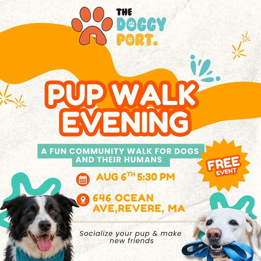 Pup Walk Evening 1