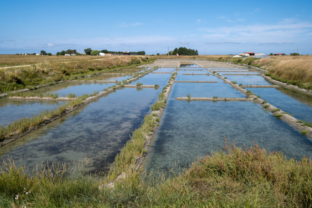 Polder de Sébastopol 3