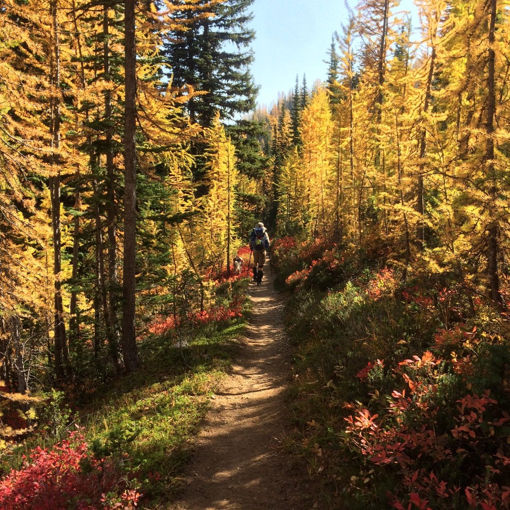 Self-Guided: Autumn Colors 1