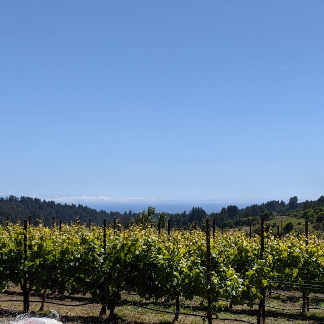 Soquel Vineyards 3
