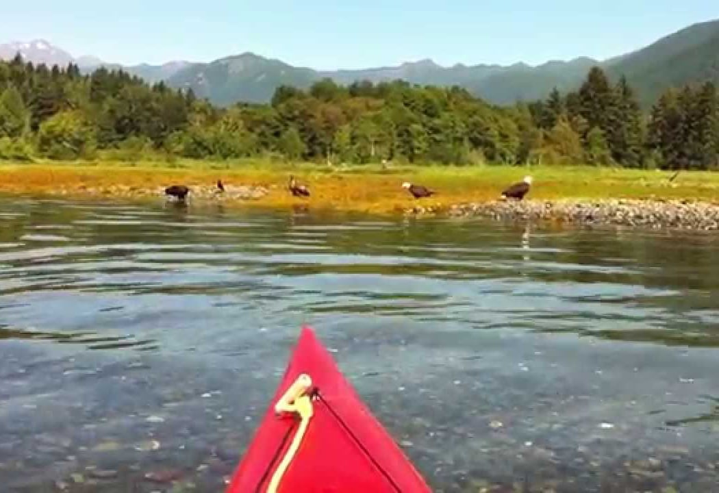 Dosewallips Estuary Kayak Tour 2