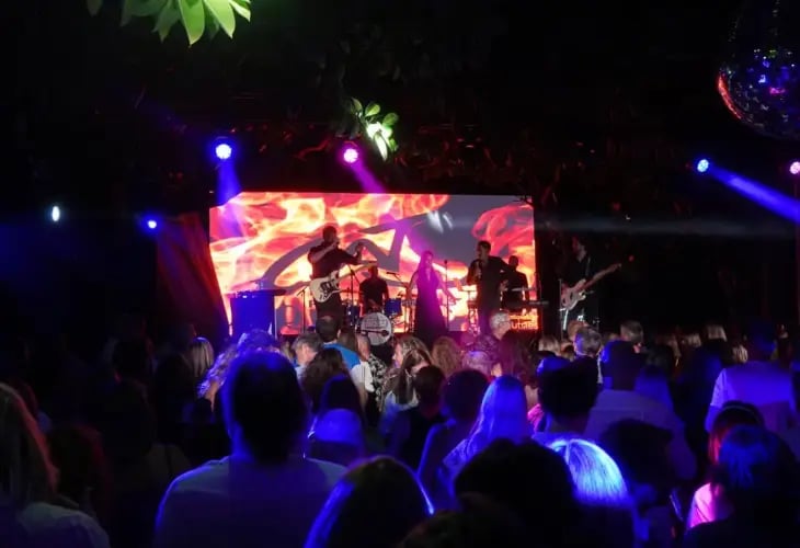 Musical journey back in time with Cats