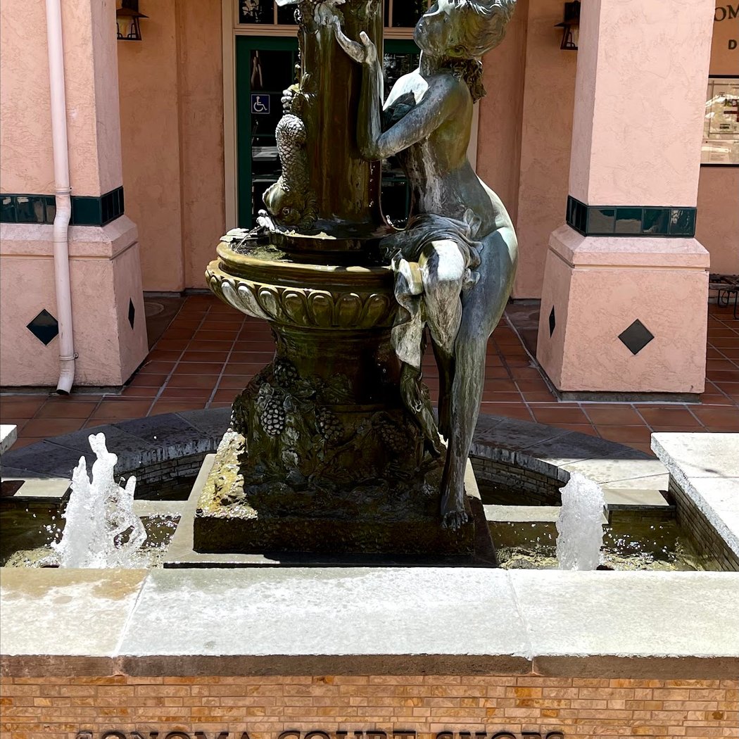 Sonoma Court Shops 3