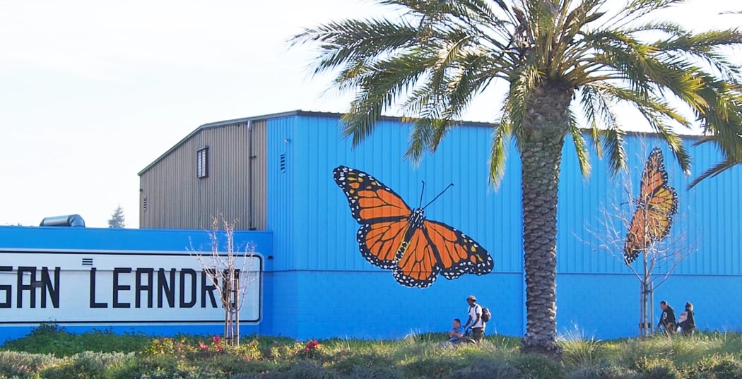 Gardening to Support Monarch Butterflies with Master Gardener Irene Beebe 1