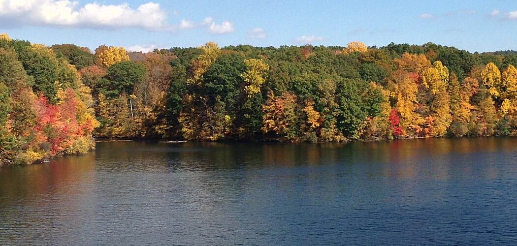 South County Trailway 3