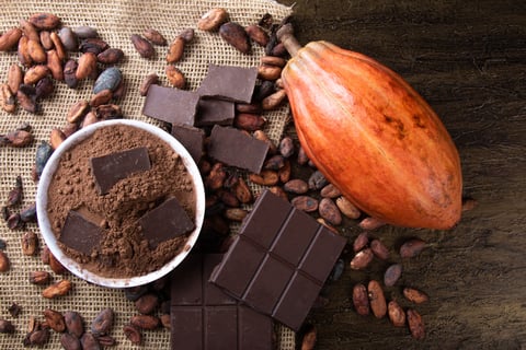 Planete Musée du Chocolat 2