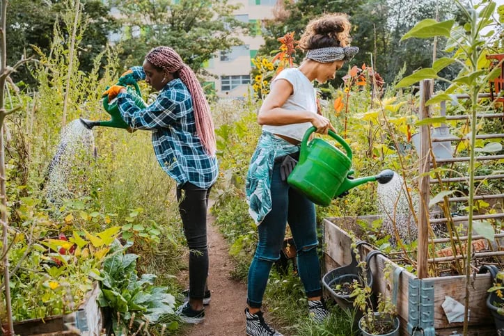 Community Garden Volunteer Session 4