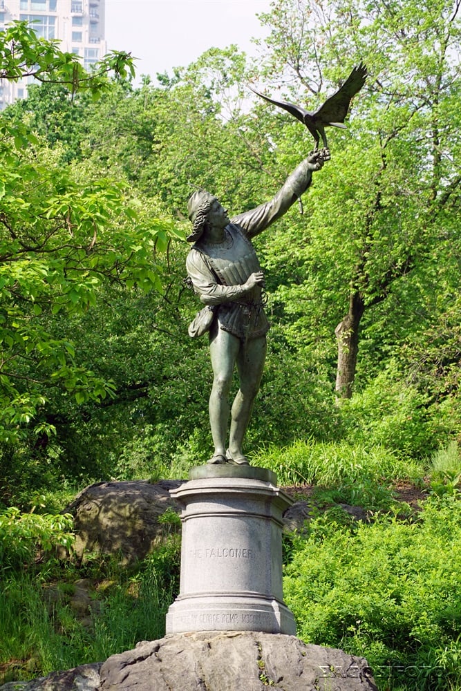 The Falconer 1