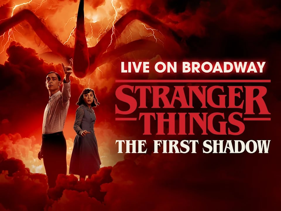 Stranger Things: The First Shadow 1