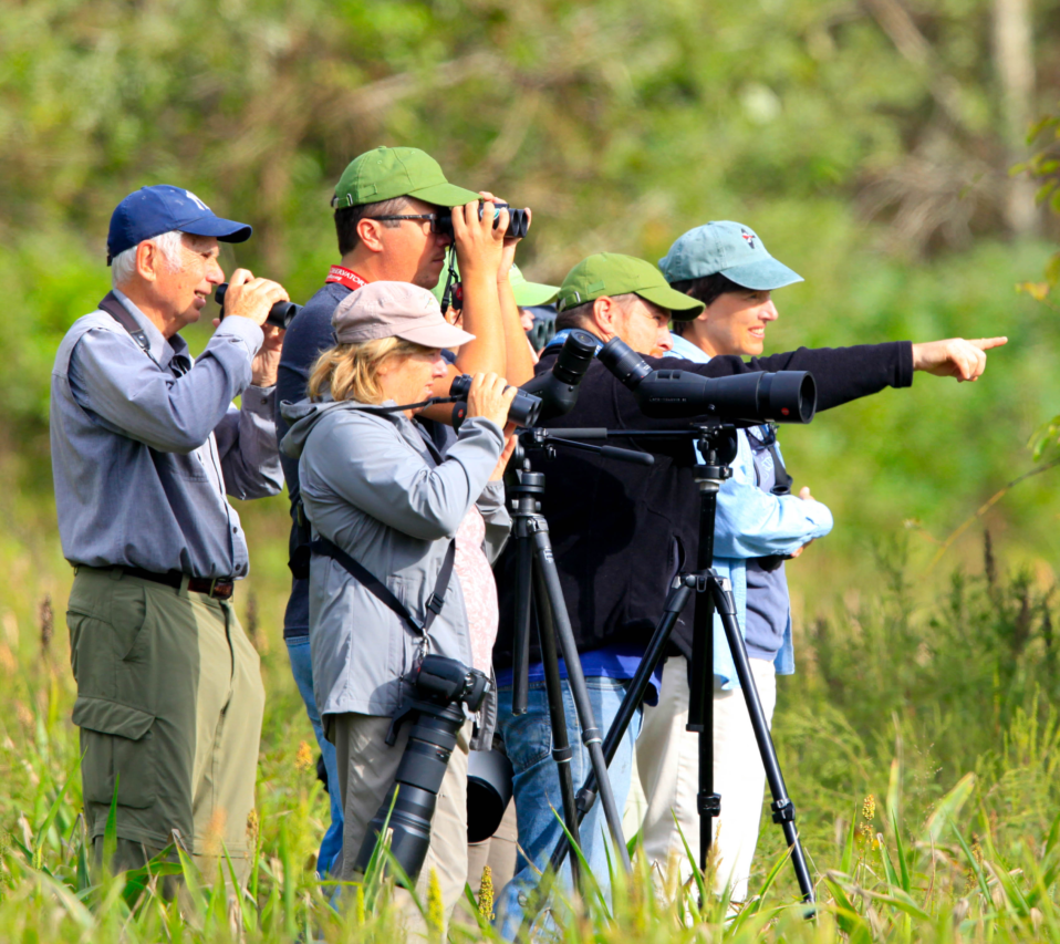 Beginning Birder Workshop 1